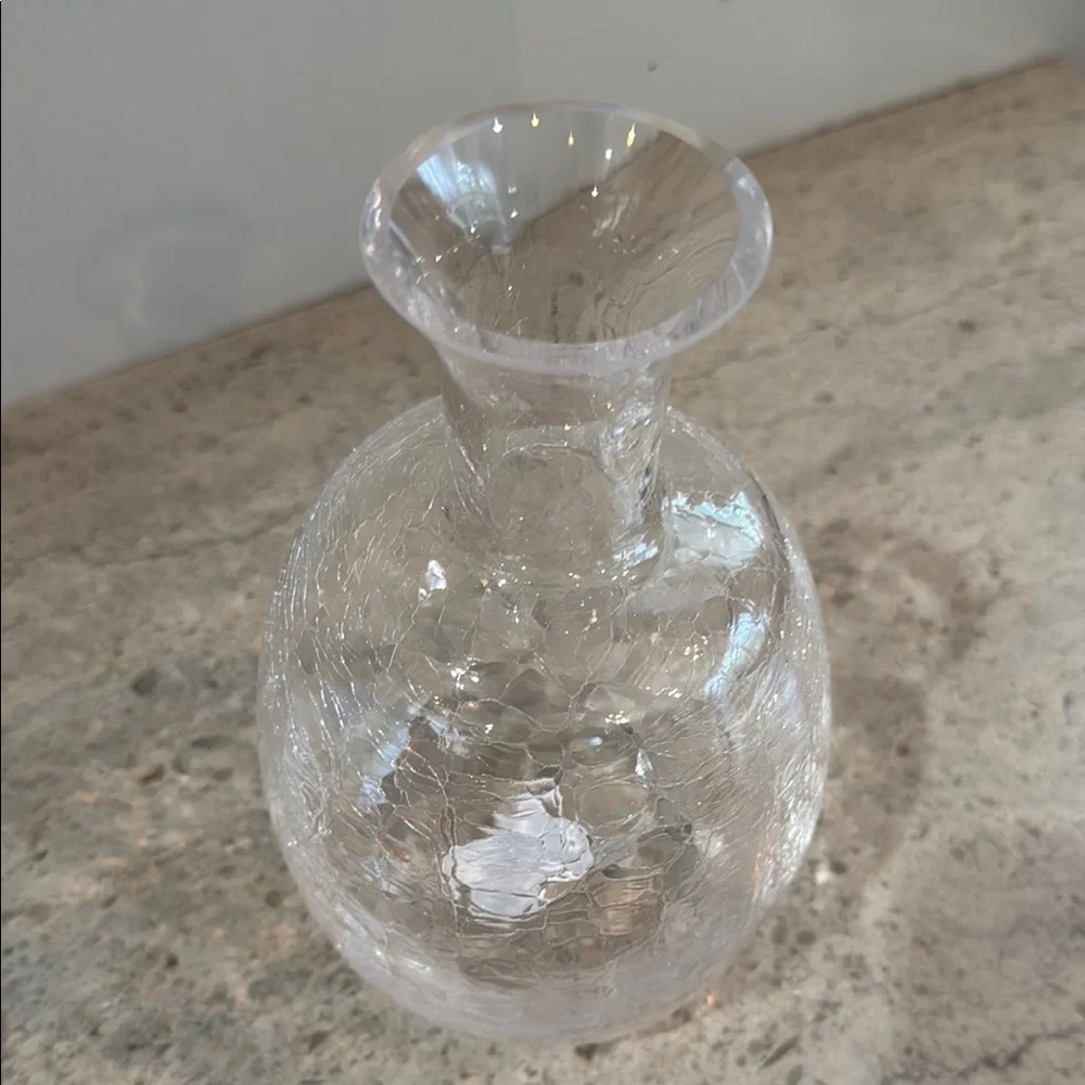 West Elm Elegant Crackle Glass Decanter